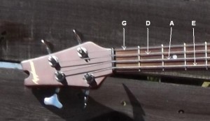 Bass-Tuning-300x173